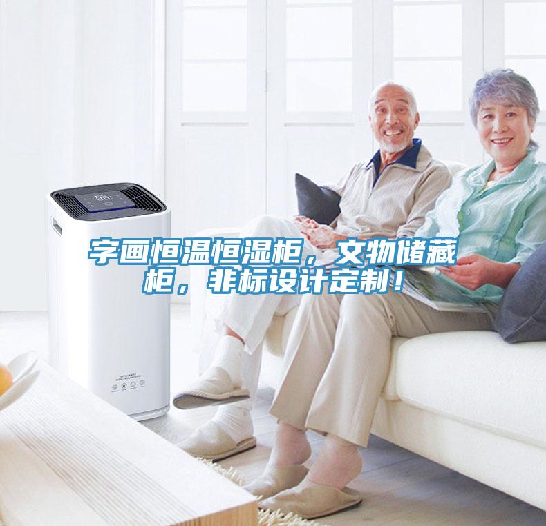 字畫恒溫恒濕柜，文物儲藏柜，非標設計定制！