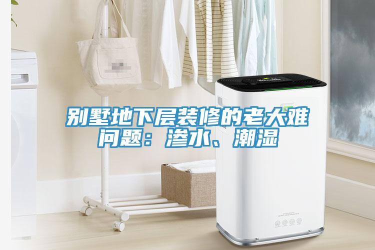 別墅地下層裝修的老大難問題：滲水、潮濕