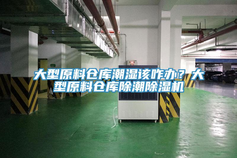大型原料倉庫潮濕該咋辦？大型原料倉庫除潮除濕機(jī)