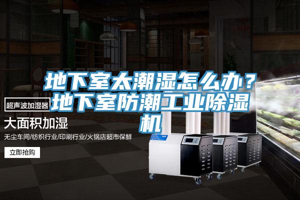地下室太潮濕怎么辦？地下室防潮工業(yè)除濕機(jī)