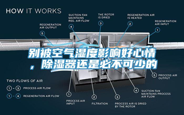 別被空氣濕度影響好心情，除濕器還是必不可少的