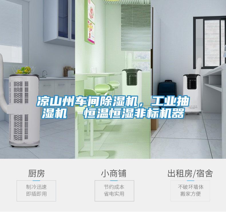 涼山州車間除濕機，工業(yè)抽濕機  恒溫恒濕非標機器