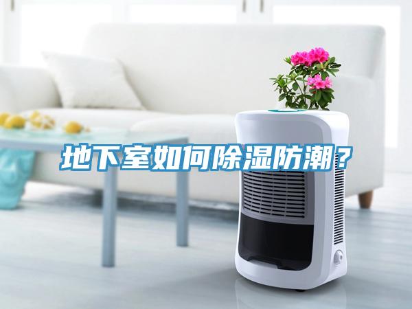 地下室如何除濕防潮？