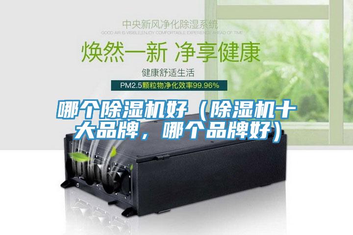 哪個除濕機(jī)好（除濕機(jī)十大品牌，哪個品牌好）
