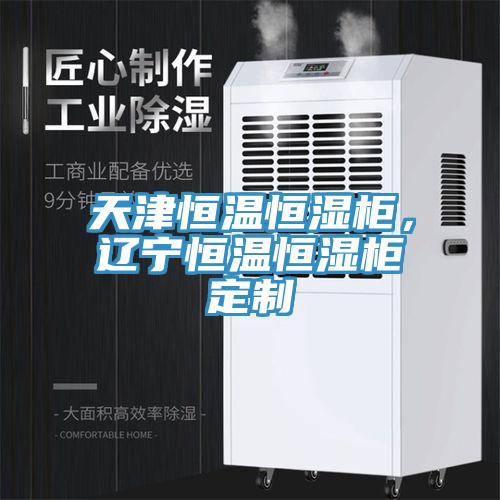 天津恒溫恒濕柜，遼寧恒溫恒濕柜定制