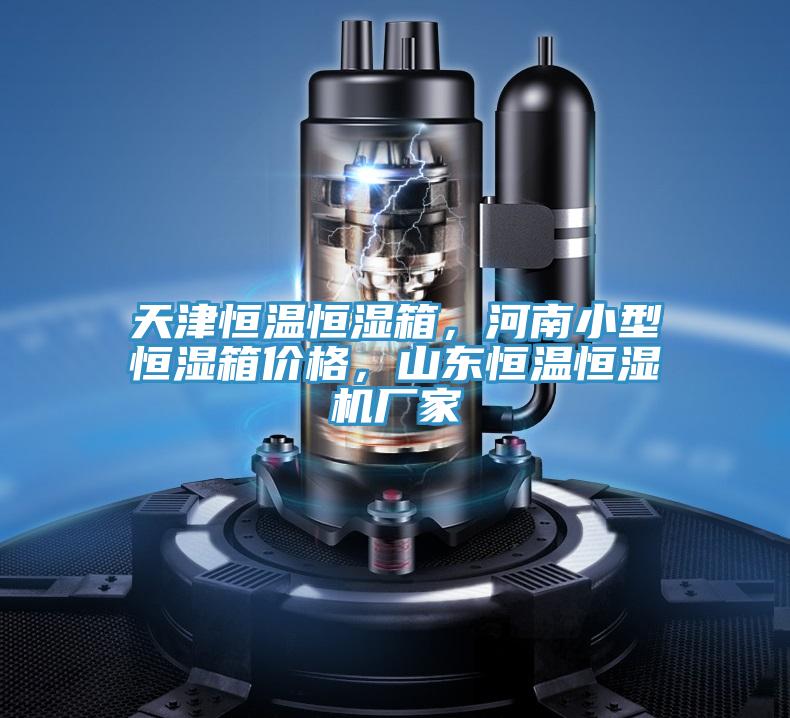 天津恒溫恒濕箱，河南小型恒濕箱價格，山東恒溫恒濕機廠家