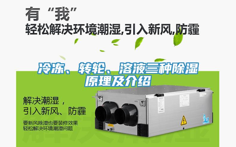 冷凍、轉(zhuǎn)輪、溶液三種除濕原理及介紹
