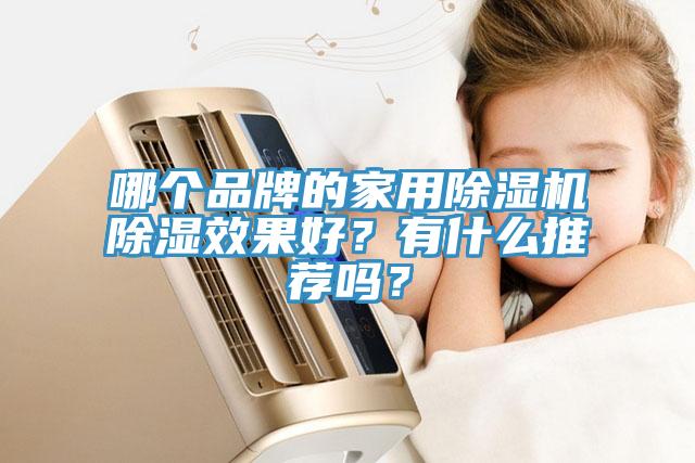 哪個品牌的家用除濕機(jī)除濕效果好？有什么推薦嗎？