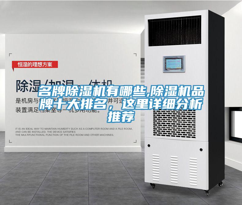 名牌除濕機有哪些,除濕機品牌十大排名，這里詳細分析推薦