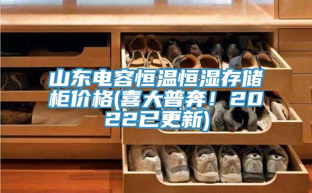 山東電容恒溫恒濕存儲(chǔ)柜價(jià)格(喜大普奔！2022已更新)