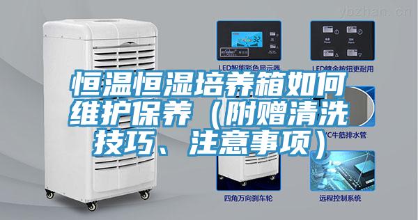 恒溫恒濕培養(yǎng)箱如何維護(hù)保養(yǎng)（附贈(zèng)清洗技巧、注意事項(xiàng)）