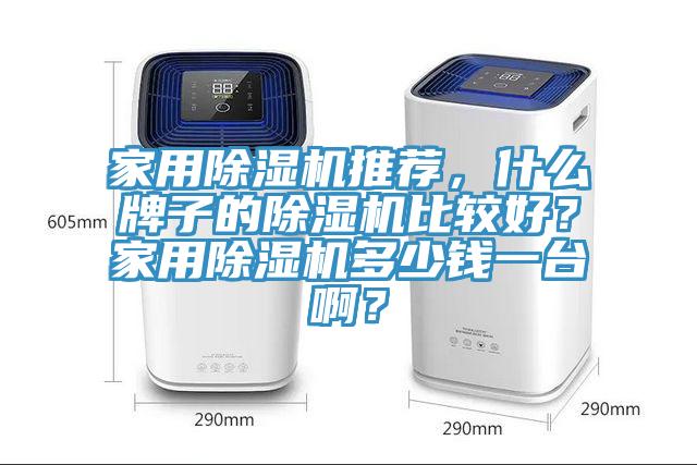 家用除濕機(jī)推薦，什么牌子的除濕機(jī)比較好？家用除濕機(jī)多少錢一臺?。?></div>
								<div   id=