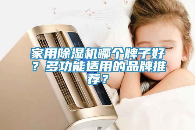 家用除濕機(jī)哪個牌子好？多功能適用的品牌推薦？