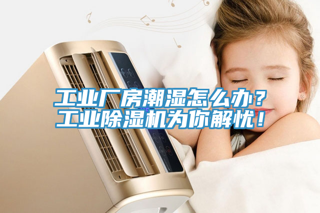 工業(yè)廠房潮濕怎么辦？工業(yè)除濕機(jī)為你解憂！