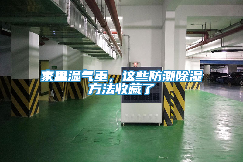 家里濕氣重，這些防潮除濕方法收藏了