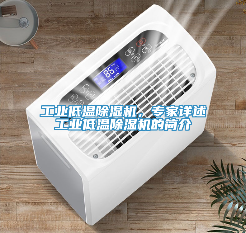 工業(yè)低溫除濕機(jī)，專家詳述工業(yè)低溫除濕機(jī)的簡介