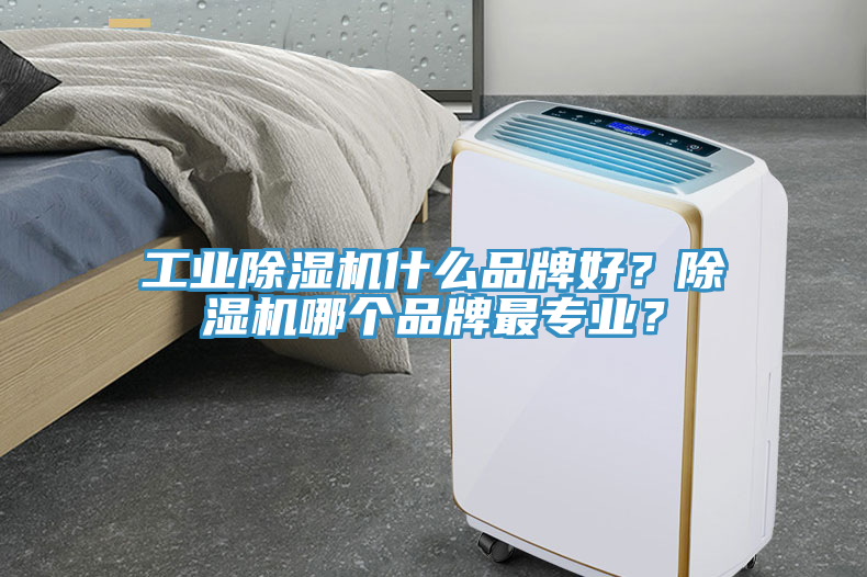 工業(yè)除濕機什么品牌好？除濕機哪個品牌最專業(yè)？