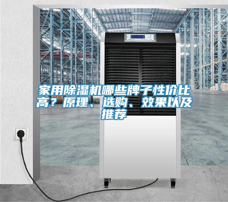 家用除濕機哪些牌子性價比高？原理、選購、效果以及推薦