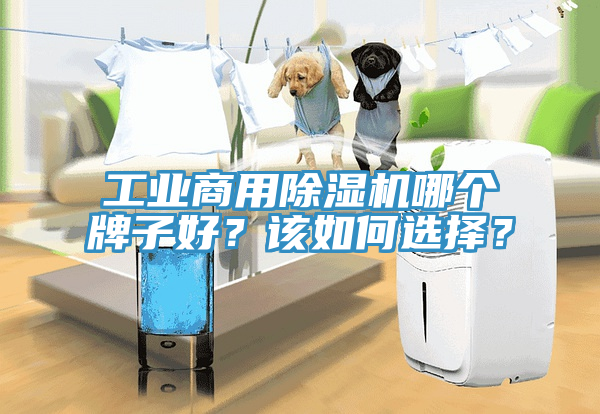 工業(yè)商用除濕機哪個牌子好？該如何選擇？