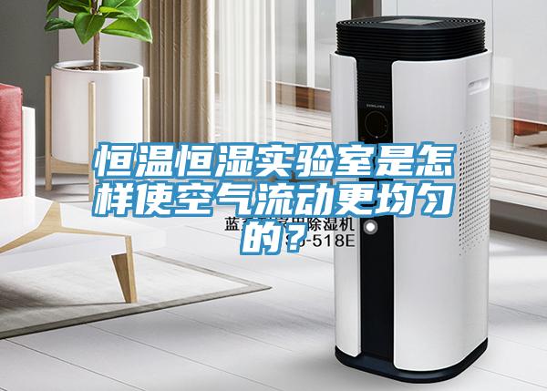 恒溫恒濕實(shí)驗(yàn)室是怎樣使空氣流動(dòng)更均勻的？