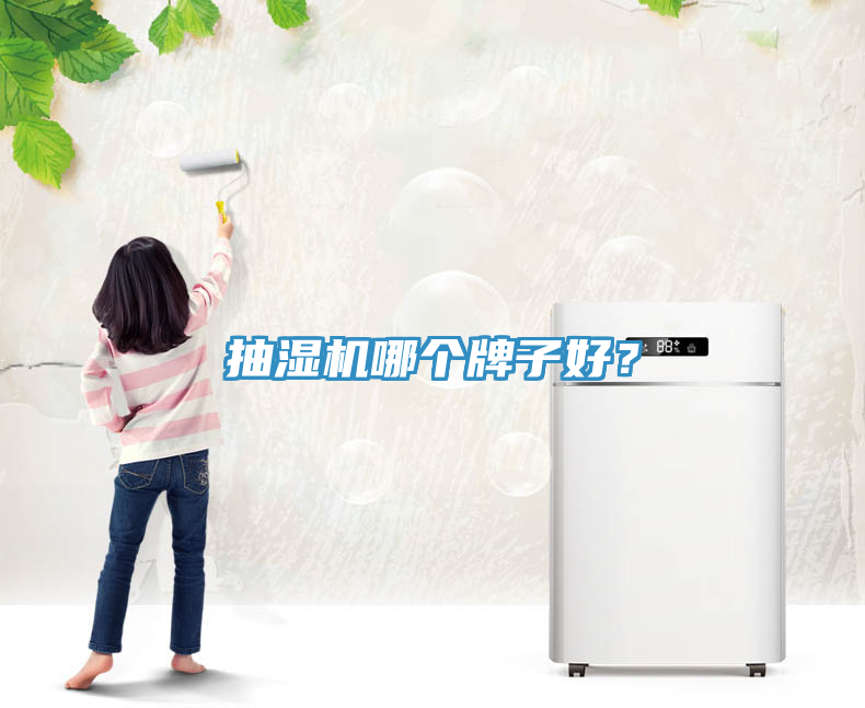 抽濕機哪個牌子好？