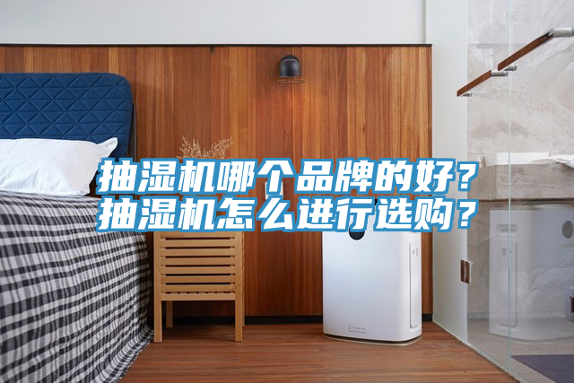 抽濕機哪個品牌的好？抽濕機怎么進行選購？