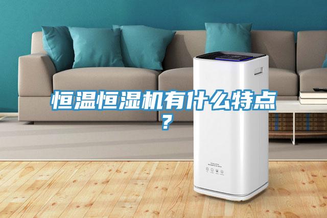 恒溫恒濕機有什么特點？