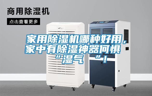 家用除濕機(jī)哪種好用，家中有除濕神器何懼 “濕氣 “！