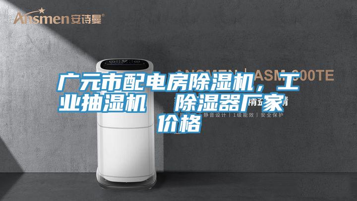 廣元市配電房除濕機，工業(yè)抽濕機  除濕器廠家 價格