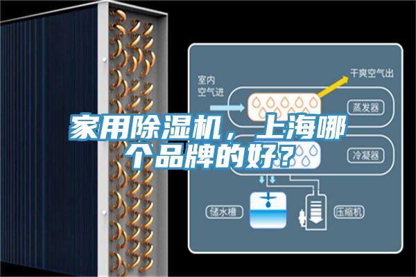 家用除濕機(jī)，上海哪個(gè)品牌的好？