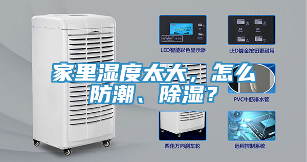 家里濕度太大，怎么防潮、除濕？
