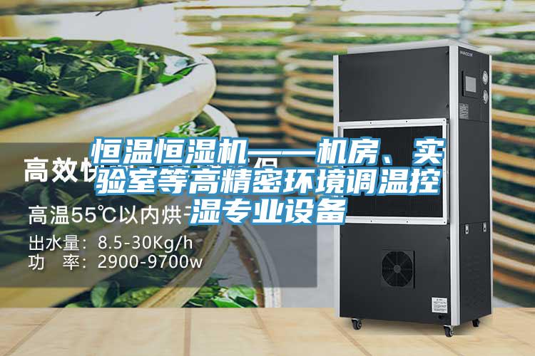 恒溫恒濕機——機房、實驗室等高精密環(huán)境調(diào)溫控濕專業(yè)設(shè)備