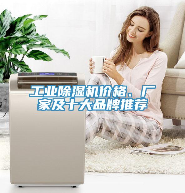 工業(yè)除濕機(jī)價(jià)格、廠家及十大品牌推薦