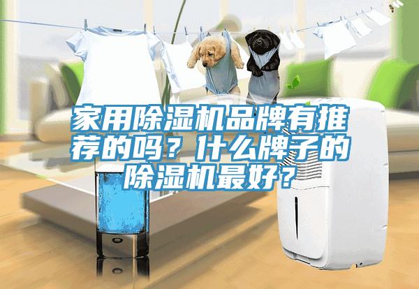 家用除濕機(jī)品牌有推薦的嗎？什么牌子的除濕機(jī)最好？