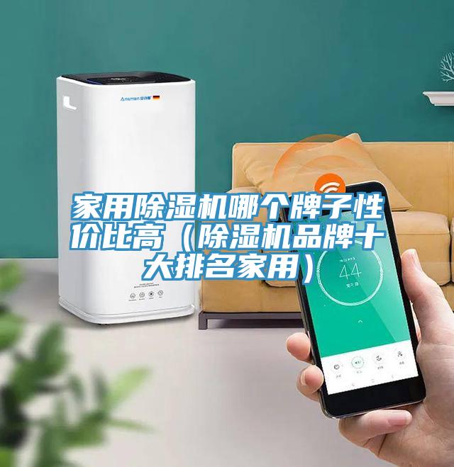 家用除濕機(jī)哪個牌子性價比高（除濕機(jī)品牌十大排名家用）