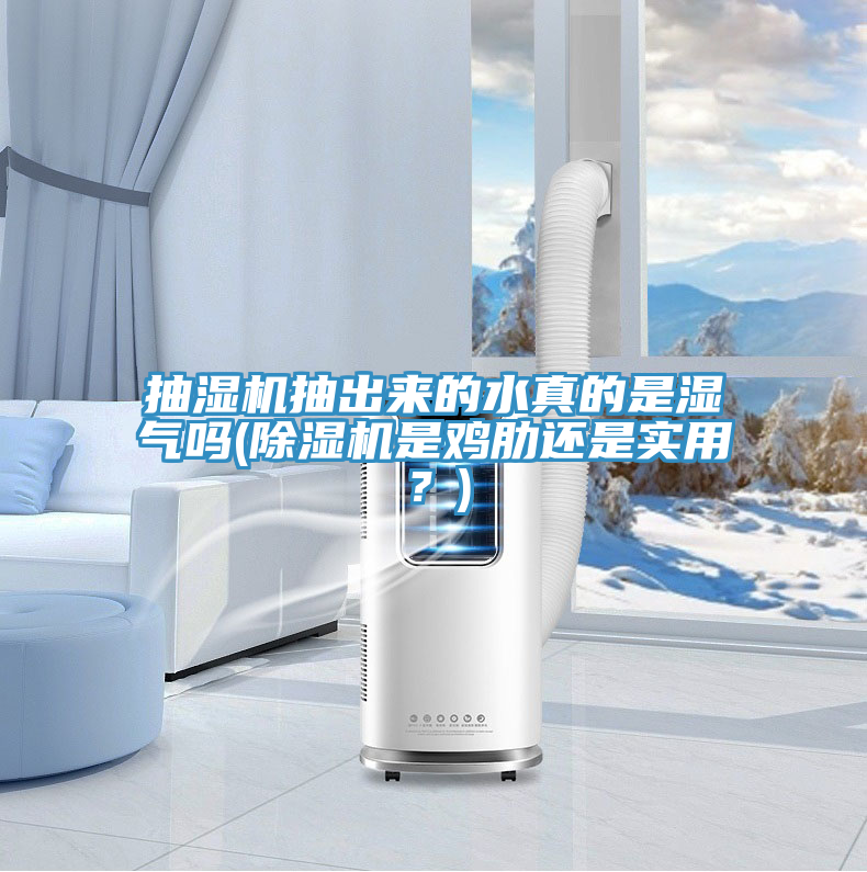 抽濕機(jī)抽出來的水真的是濕氣嗎(除濕機(jī)是雞肋還是實用？)