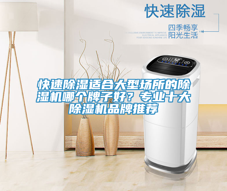 快速除濕適合大型場所的除濕機哪個牌子好？專業(yè)十大除濕機品牌推薦