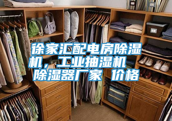 徐家匯配電房除濕機(jī)，工業(yè)抽濕機(jī)  除濕器廠家 價(jià)格