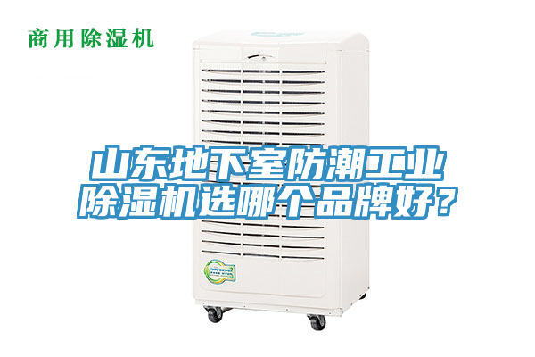 山東地下室防潮工業(yè)除濕機(jī)選哪個(gè)品牌好？