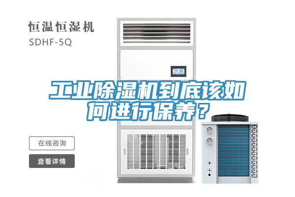 工業(yè)除濕機(jī)到底該如何進(jìn)行保養(yǎng)？