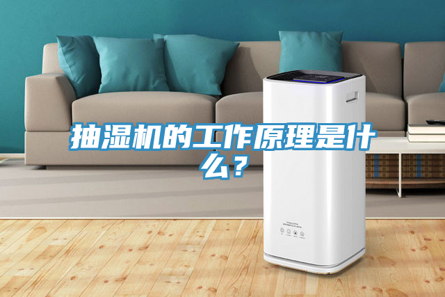抽濕機(jī)的工作原理是什么？