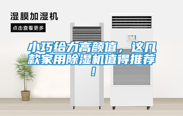 小巧給力高顏值，這幾款家用除濕機(jī)值得推薦！