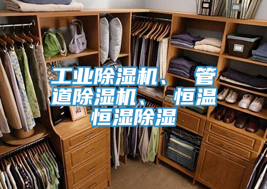 工業(yè)除濕機、 管道除濕機、 恒溫恒濕除濕