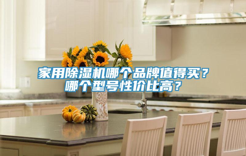 家用除濕機(jī)哪個(gè)品牌值得買？哪個(gè)型號(hào)性價(jià)比高？