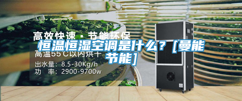 恒溫恒濕空調(diào)是什么？[曼能節(jié)能]