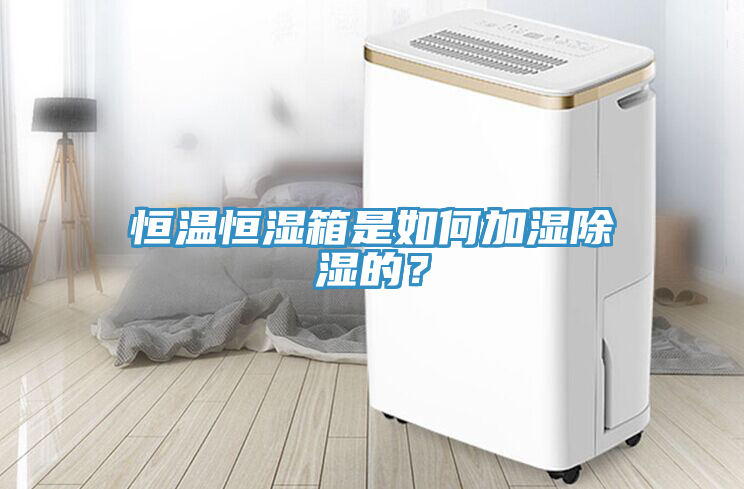 恒溫恒濕箱是如何加濕除濕的？