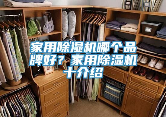 家用除濕機(jī)哪個(gè)品牌好？家用除濕機(jī)十介紹