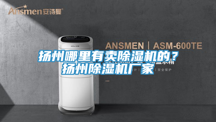 揚州哪里有賣除濕機的？揚州除濕機廠家