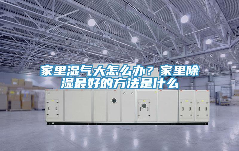 家里濕氣大怎么辦？家里除濕最好的方法是什么