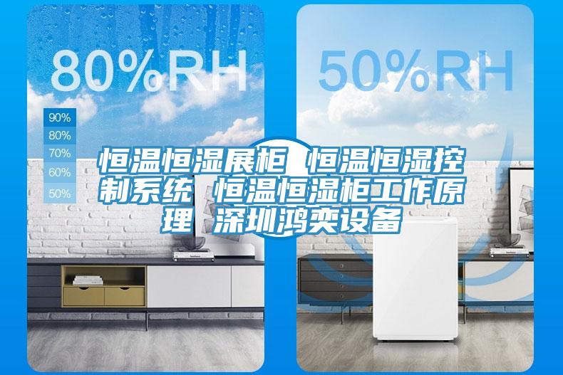 恒溫恒濕展柜 恒溫恒濕控制系統(tǒng) 恒溫恒濕柜工作原理 深圳鴻奕設備